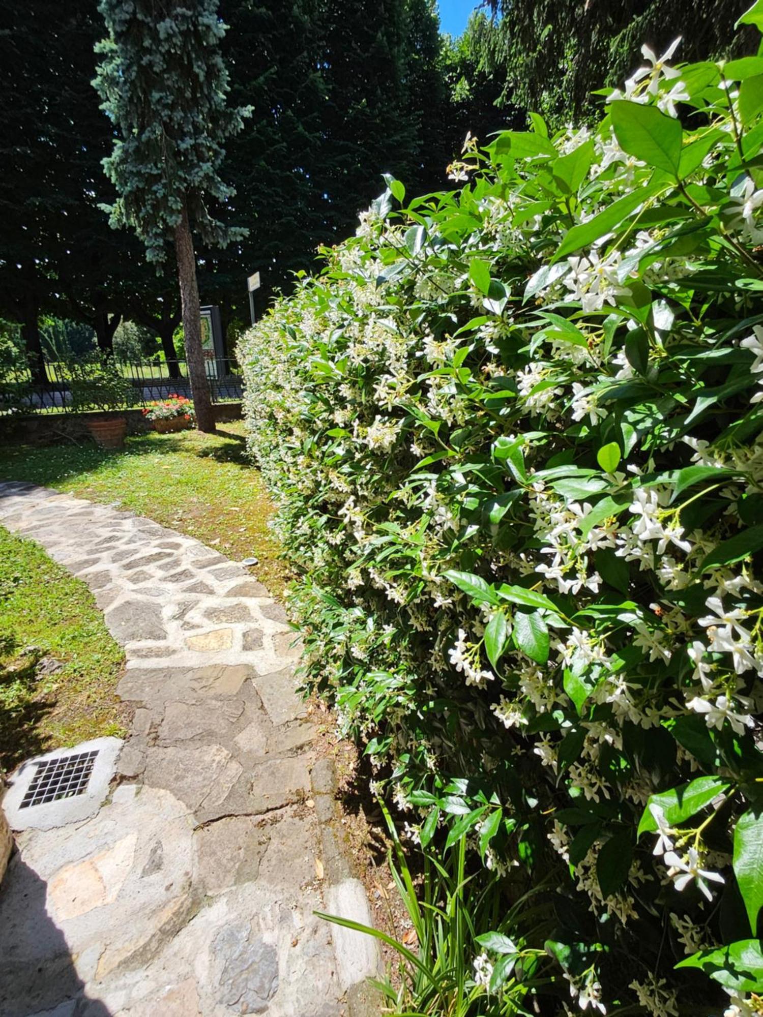 B&B Casa Tessieri Лукка Екстер'єр фото